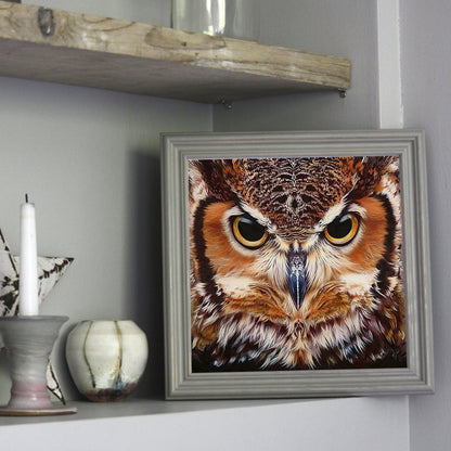 Owl - Full Square Drill Diamond Painting 30*30CM