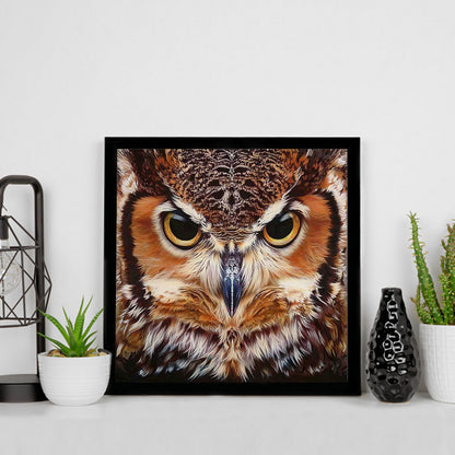 Owl - Full Square Drill Diamond Painting 30*30CM