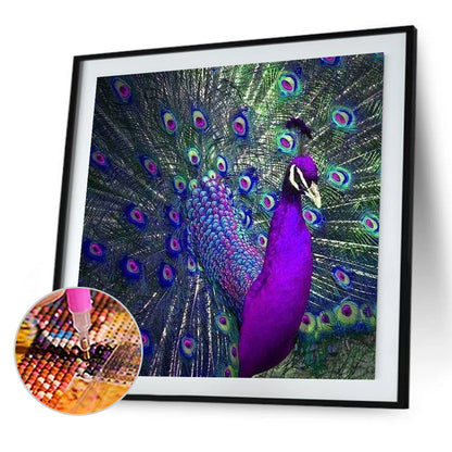 Peacock - Full Round Drill Diamond Painting 40*40CM