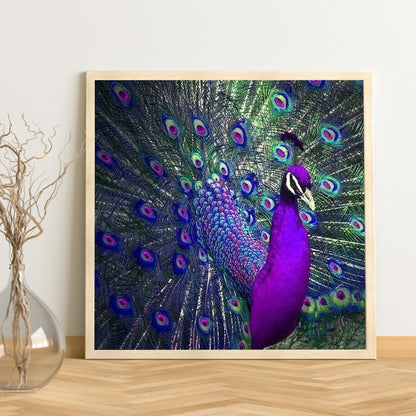 Peacock - Full Round Drill Diamond Painting 40*40CM