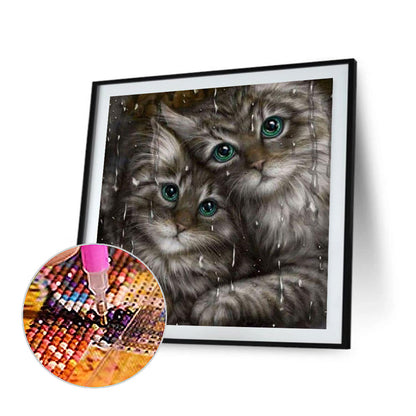 Cat - Full Square Drill Diamond Painting 40*40CM