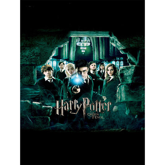 Harry Potter - Full Round Drill Diamond Painting 30*40CM