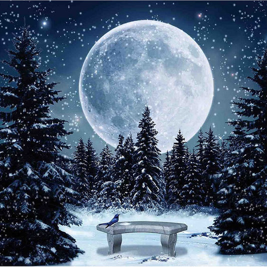 Snow Under The Moon - Full Square Drill Diamond Painting 40*40CM