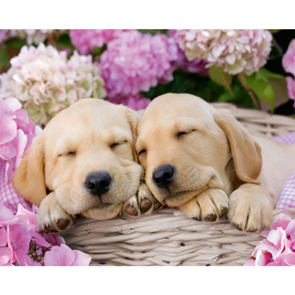 Puppy - Full Round Drill Diamond Painting 40*30CM