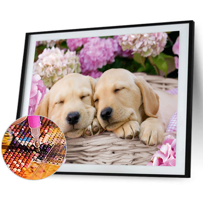 Puppy - Full Round Drill Diamond Painting 40*30CM