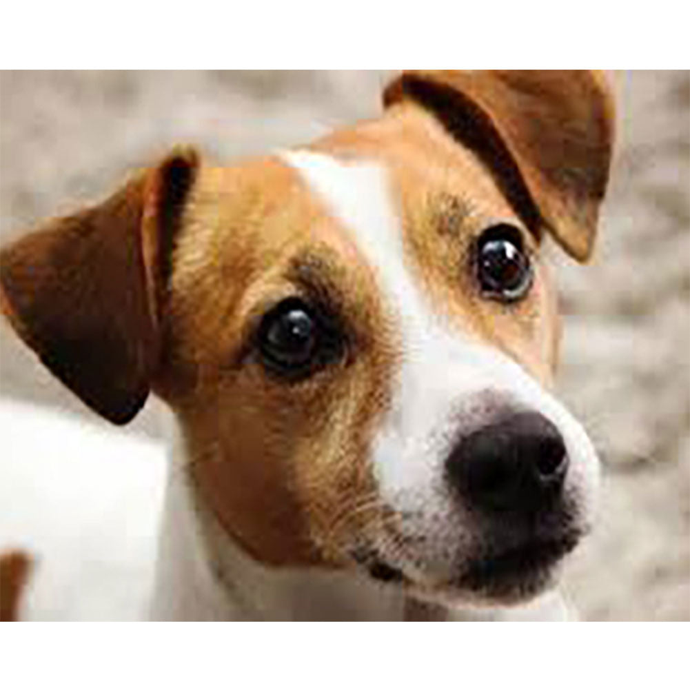 Puppy - Full Round Drill Diamond Painting 40*30CM
