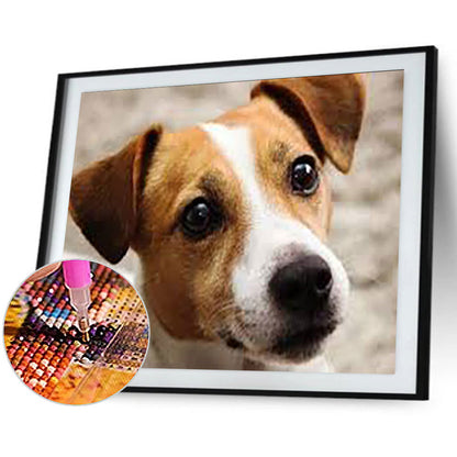 Puppy - Full Round Drill Diamond Painting 40*30CM