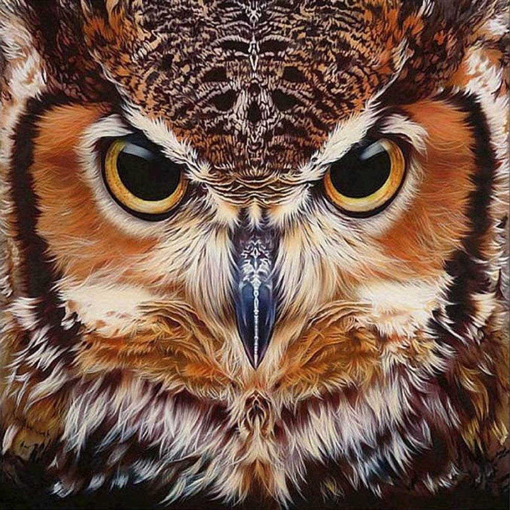 Owl - Full Round Drill Diamond Painting 40*40CM