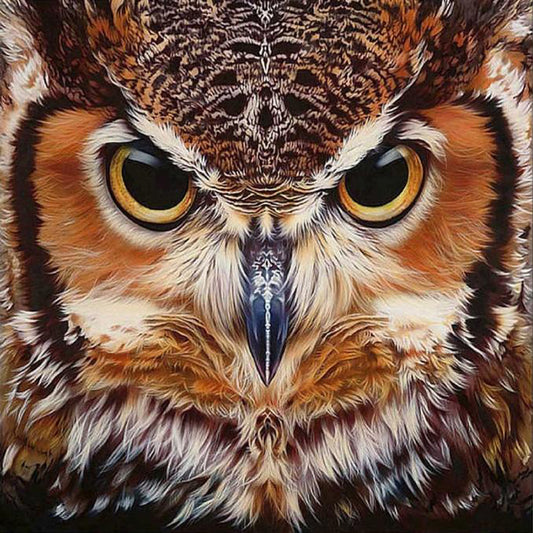 Owl - Full Round Drill Diamond Painting 40*40CM