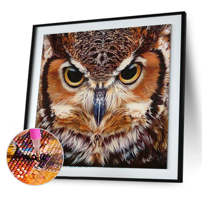 Owl - Full Round Drill Diamond Painting 40*40CM