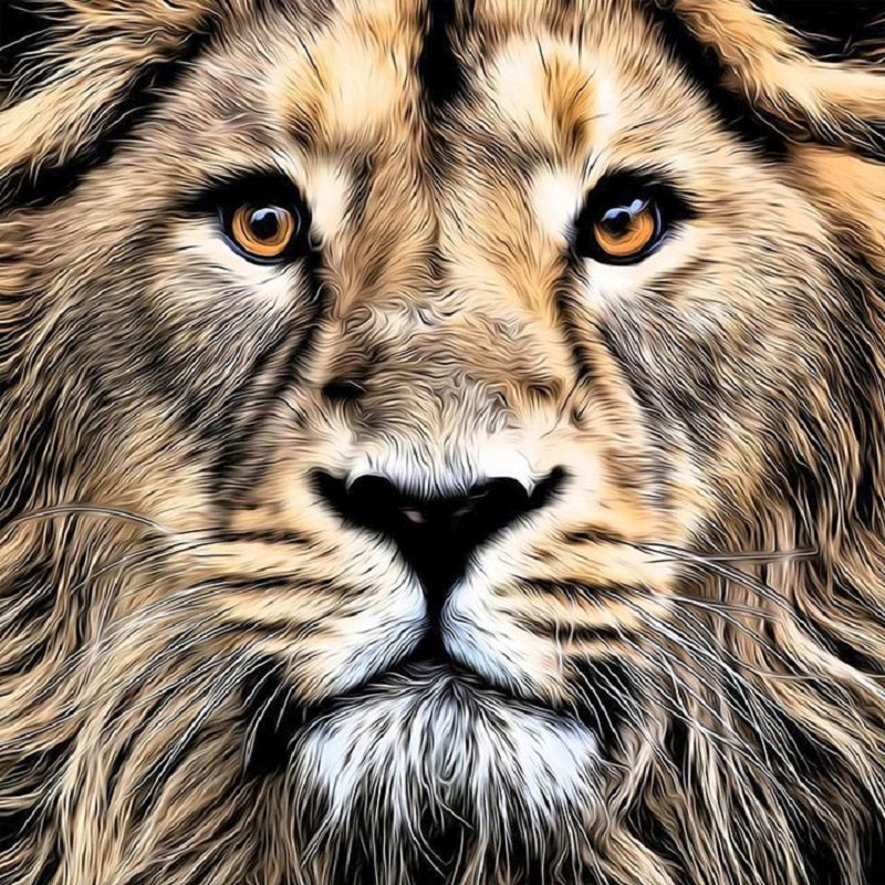 Lion - Full Round Drill Diamond Painting 30*30CM