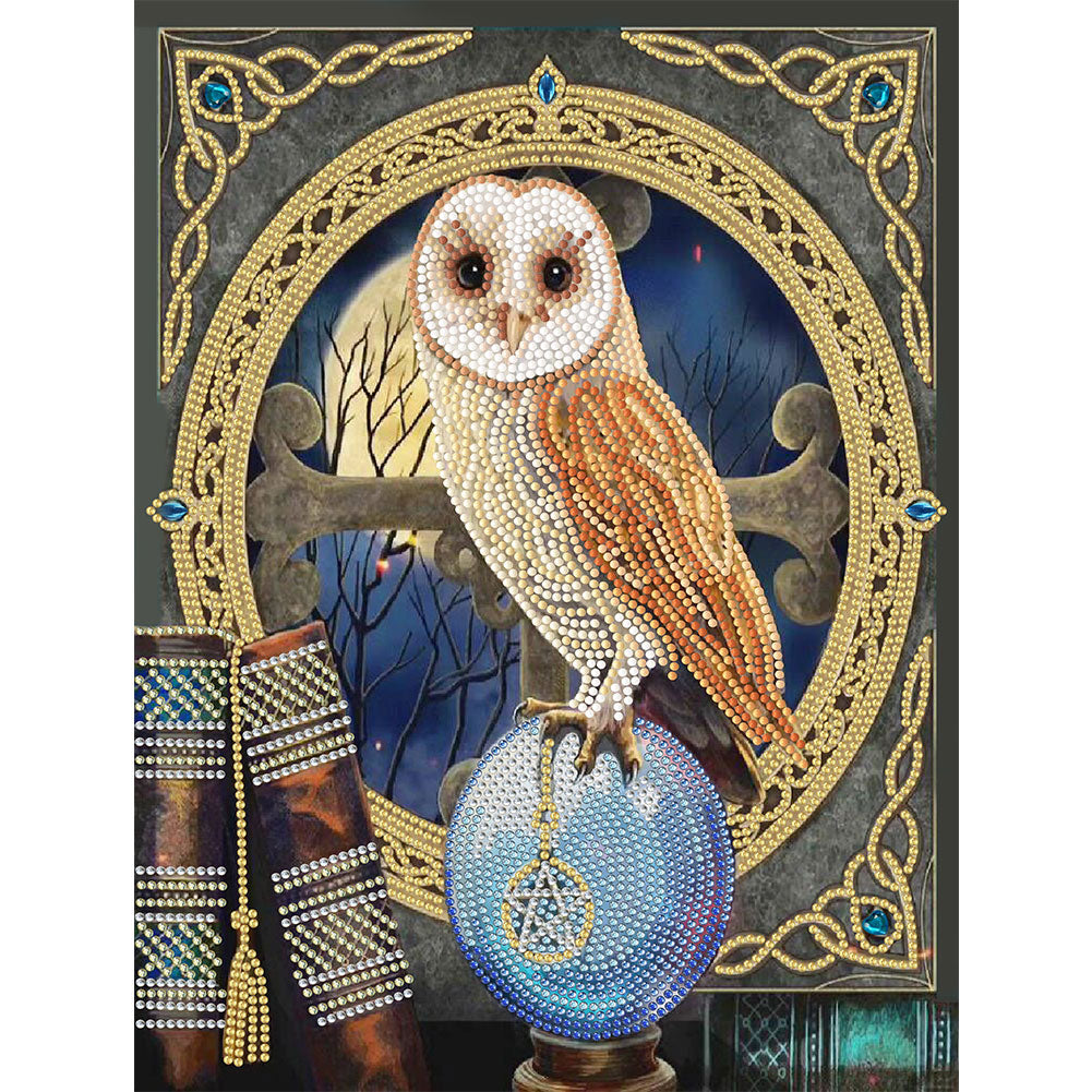 Owl - Special Shaped Drill Diamond Paiting 30*40CM