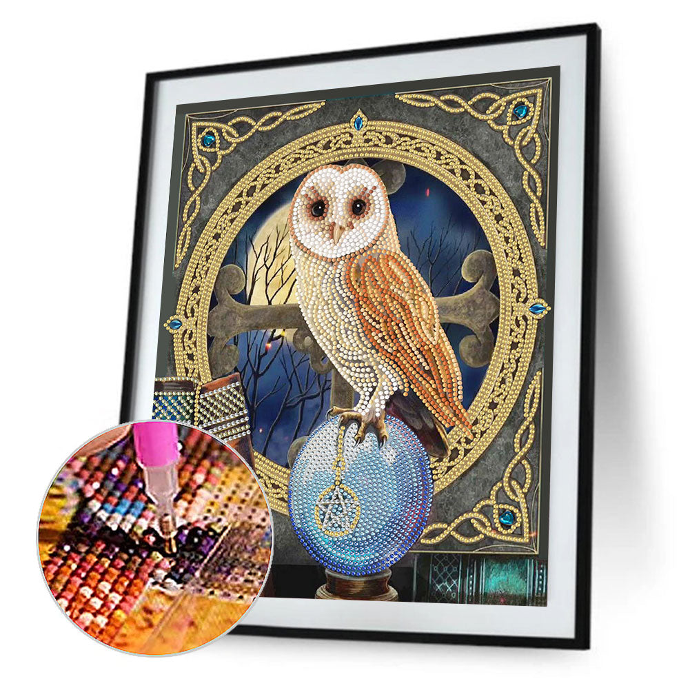 Owl - Special Shaped Drill Diamond Paiting 30*40CM