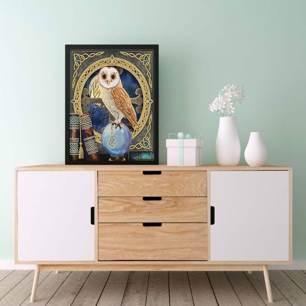 Owl - Special Shaped Drill Diamond Paiting 30*40CM