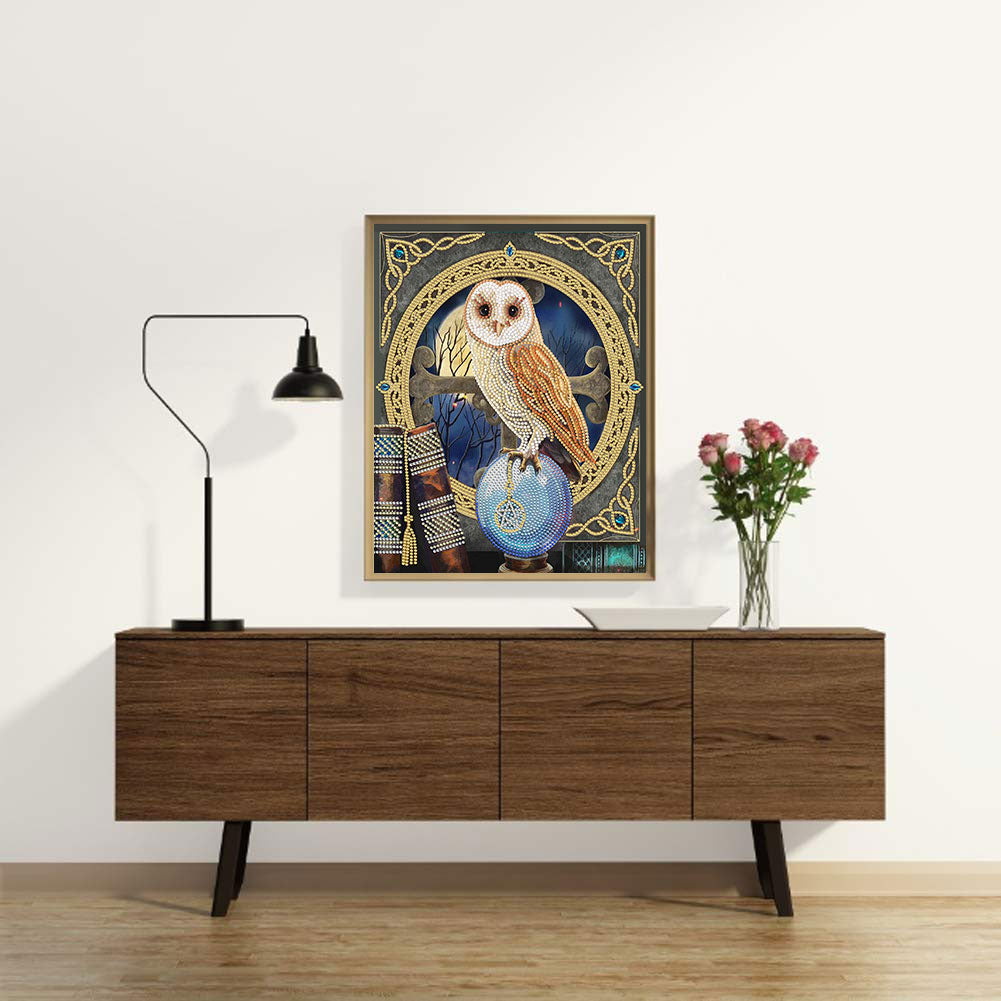 Owl - Special Shaped Drill Diamond Paiting 30*40CM