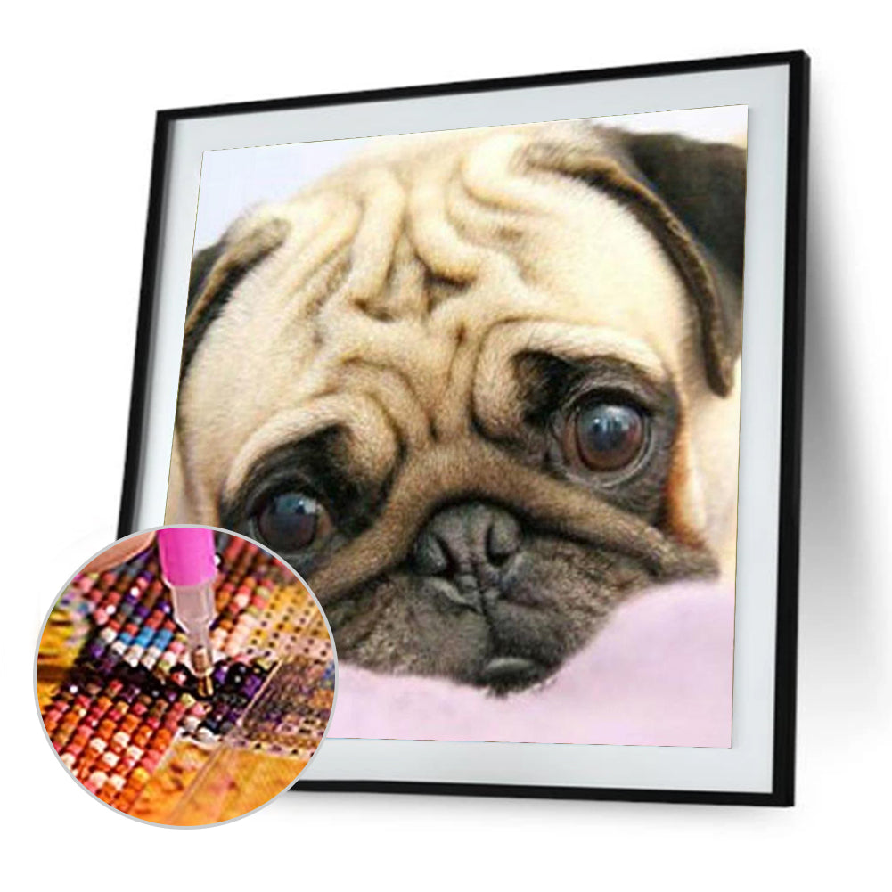 Pug Dog - Full Square Drill Diamond Painting 30*30CM