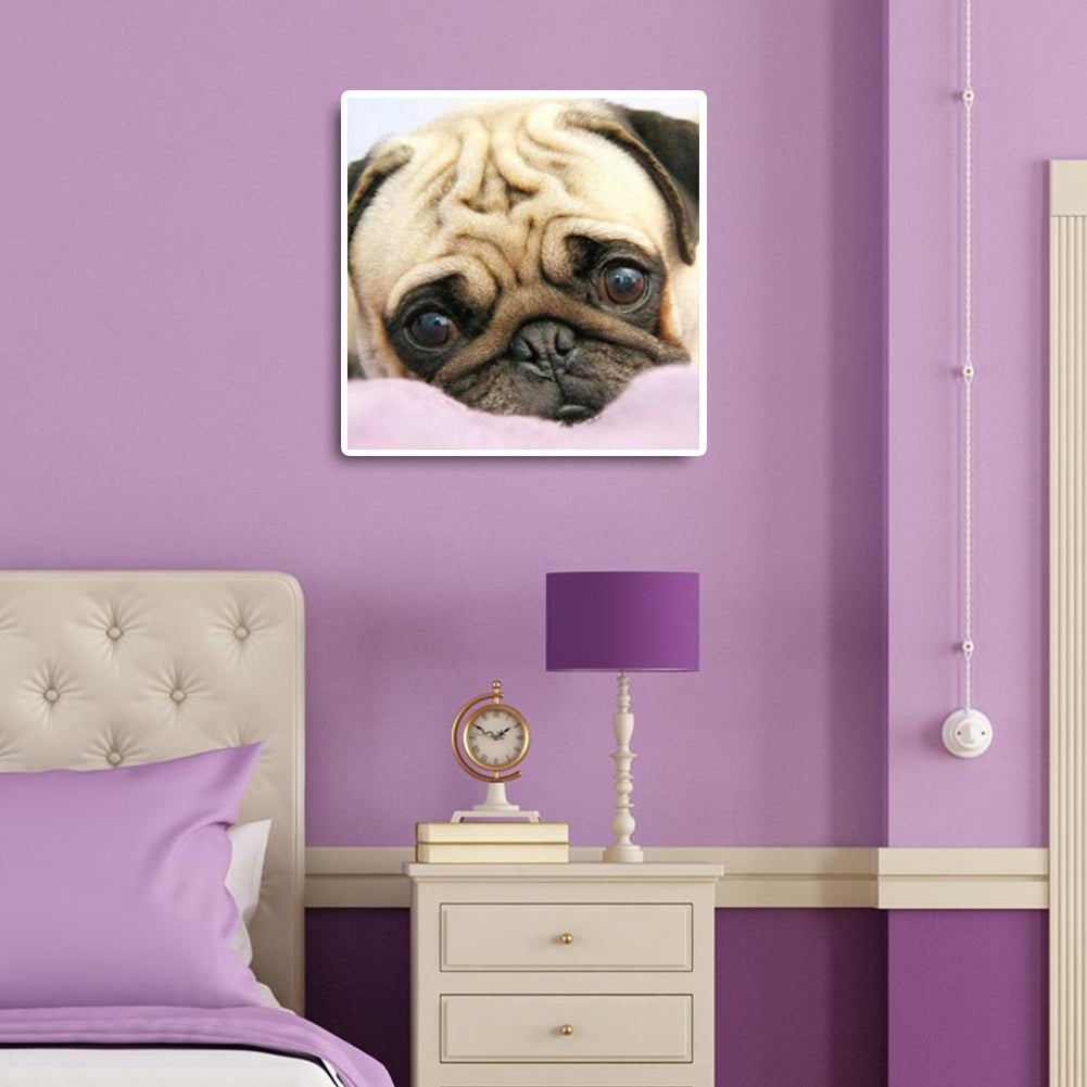 Pug Dog - Full Square Drill Diamond Painting 30*30CM