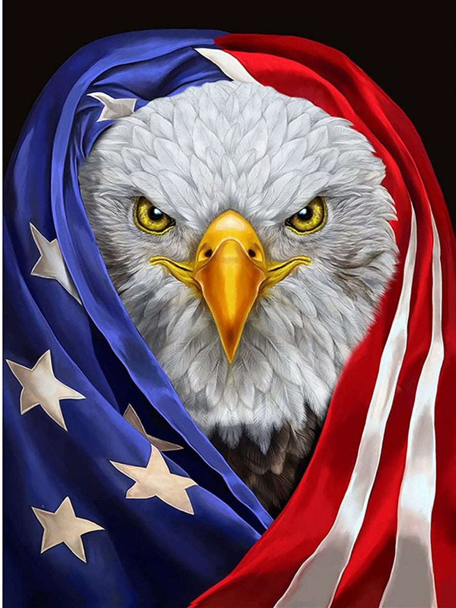 Flag Eagle - Full Square Drill Diamond Painting 40*50CM