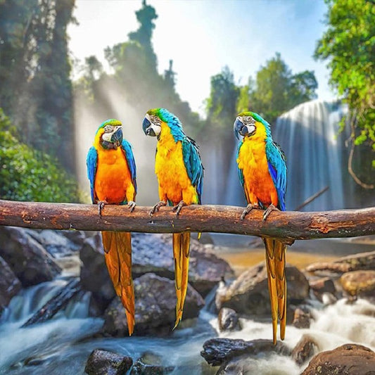 Parrot - Full Round Drill Diamond Painting 30*30CM