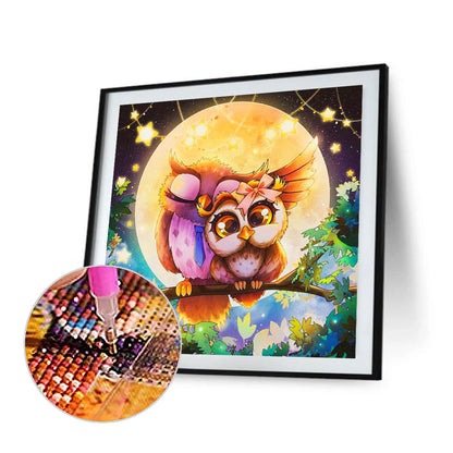 Big Eyed Owl - Full Round Drill Diamond Painting 30*30CM