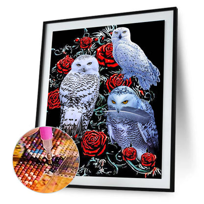 Rose Parakeet - Full Square Drill Diamond Painting 30*40CM