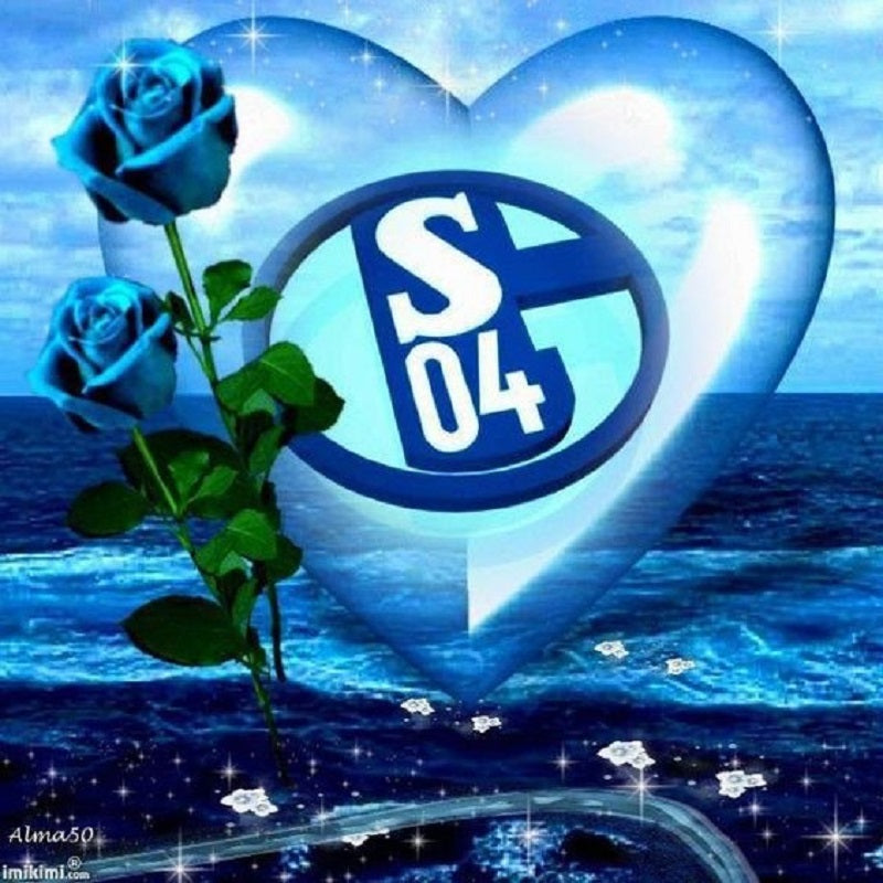 Schalke 04 Football Team Logo - Full Square Drill Diamond Painting 40*40CM