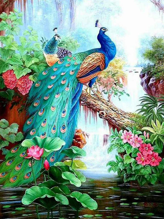 Peacock - Full Round Drill Diamond Painting 40*50CM