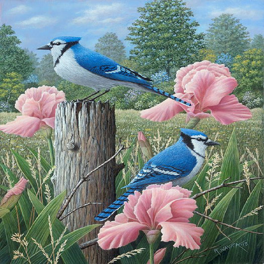 Bird - Full Round Drill Diamond Painting 30*40CM