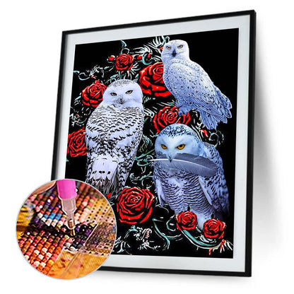 Rose Owl - Full Square Drill Diamond Painting 50*60CM