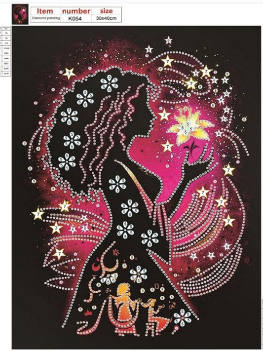 Silhouette Princess - Special Shaped Drill Diamond Paiting 30*40CM