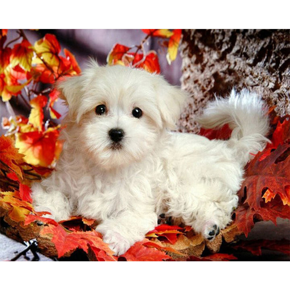West Highland White Terrier - Full Round Drill Diamond Painting 40*30CM