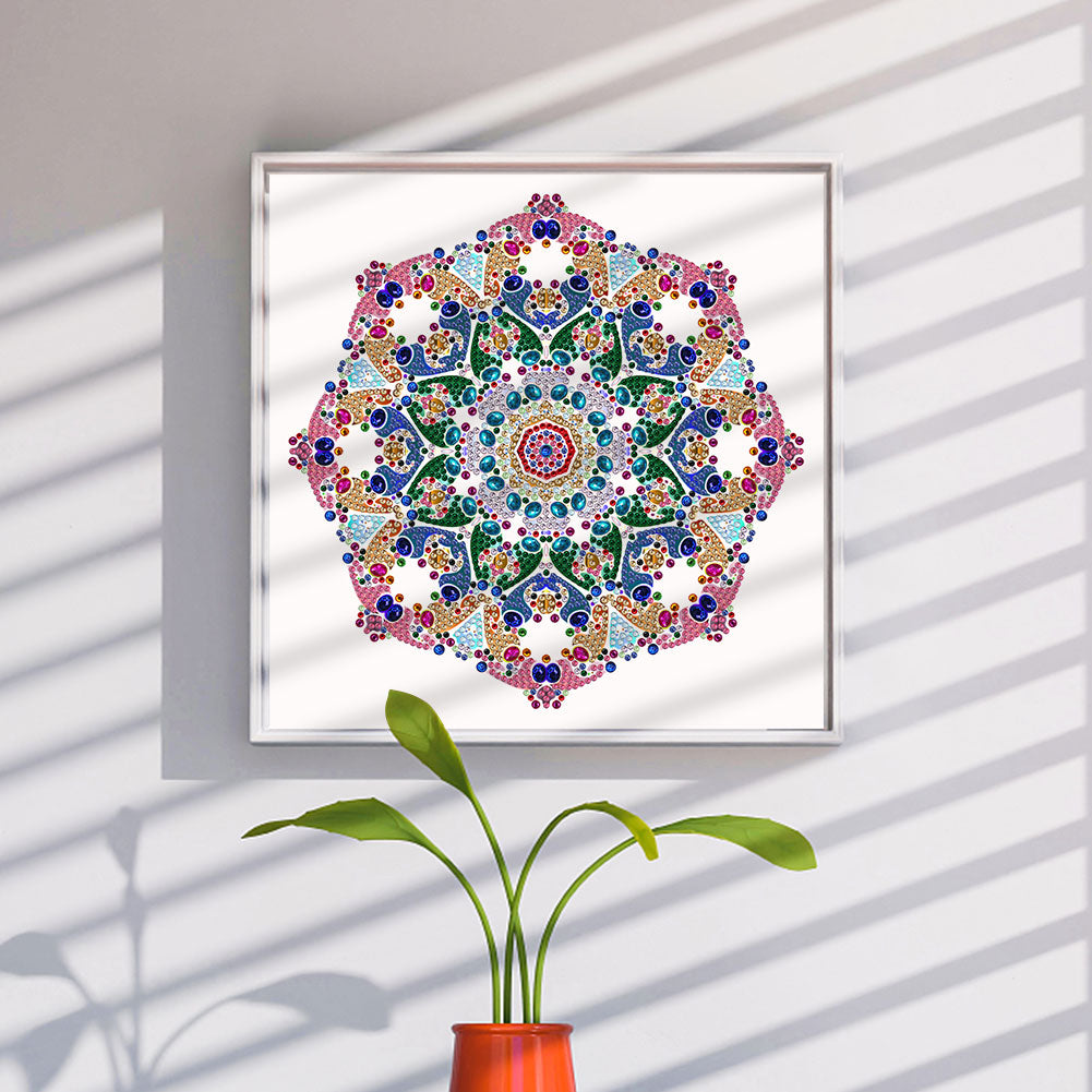 Mandala Pattern - Special Shaped Drill Diamond Paiting 30*30CM