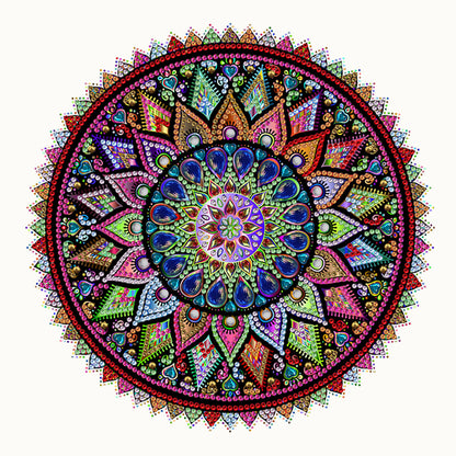 Mandala Pattern - Special Shaped Drill Diamond Paiting 30*30CM