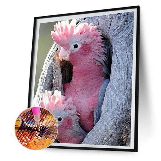 Pink Cockatoo - Full Round Drill Diamond Painting 50*60CM