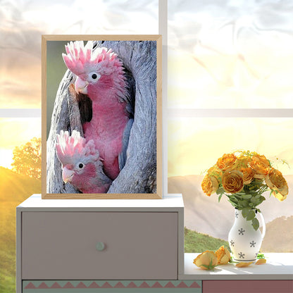 Pink Cockatoo - Full Round Drill Diamond Painting 50*60CM