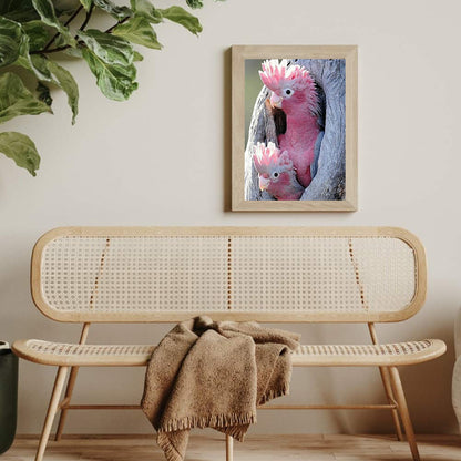 Pink Cockatoo - Full Round Drill Diamond Painting 50*60CM
