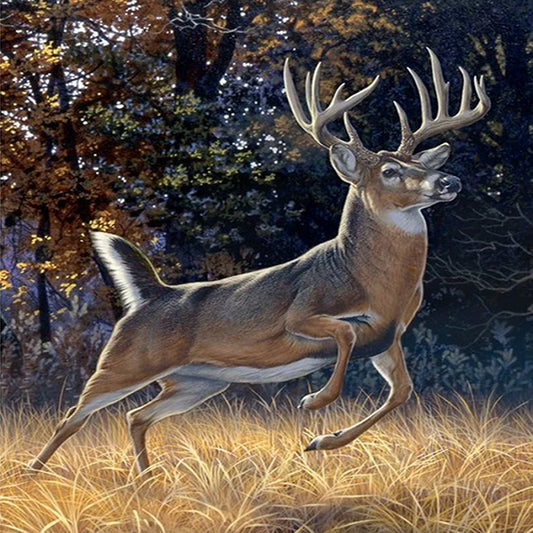 Running Elk - Full Square Drill Diamond Painting 50*60CM