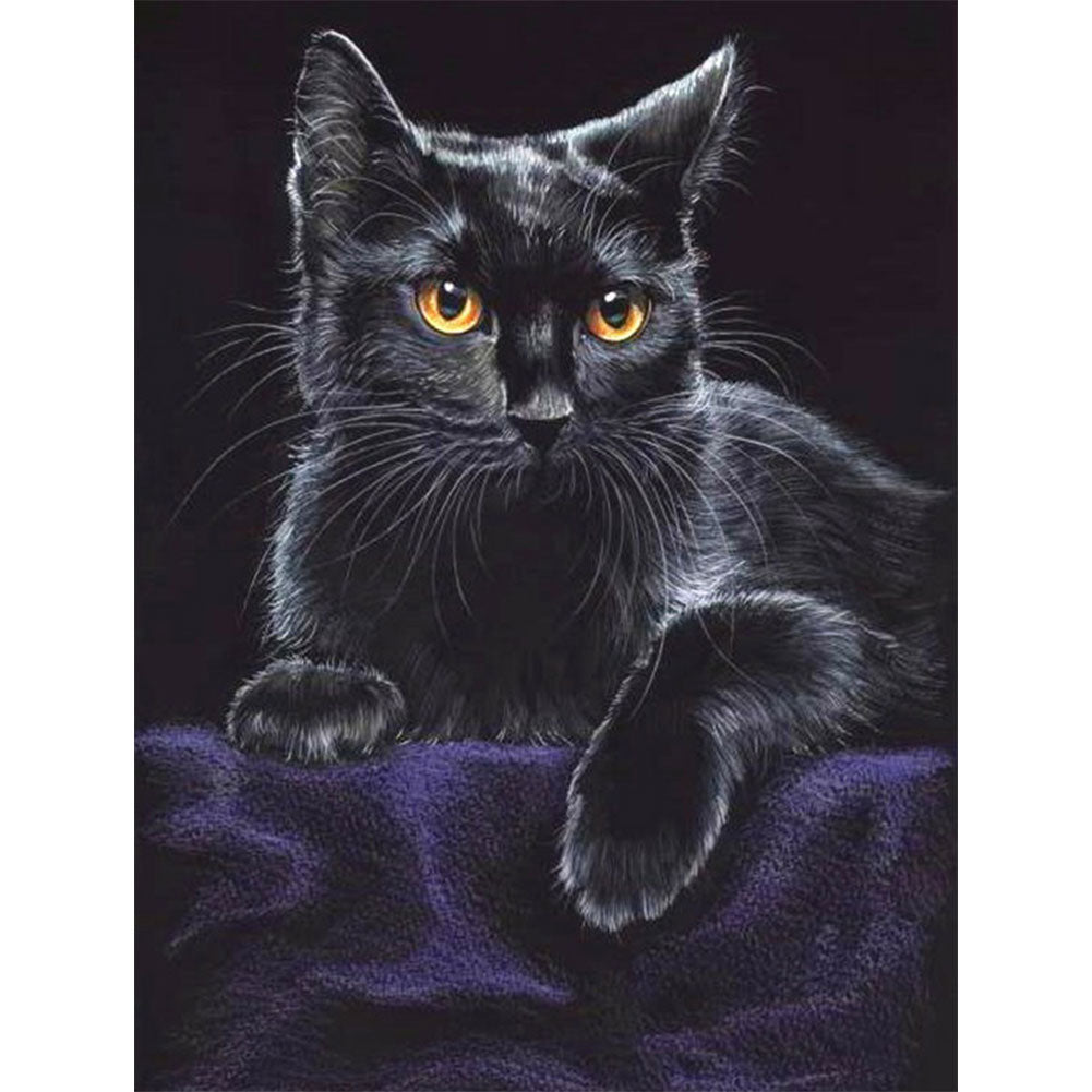 Black Cat Portrait - Full Round Drill Diamond Painting 30*40CM