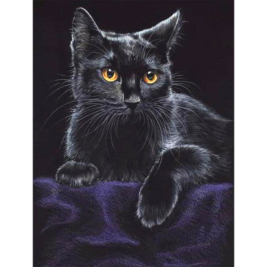 Black Cat Portrait - Full Round Drill Diamond Painting 30*40CM