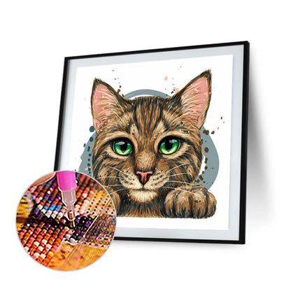 Cat - Full Round Drill Diamond Painting 30*30CM