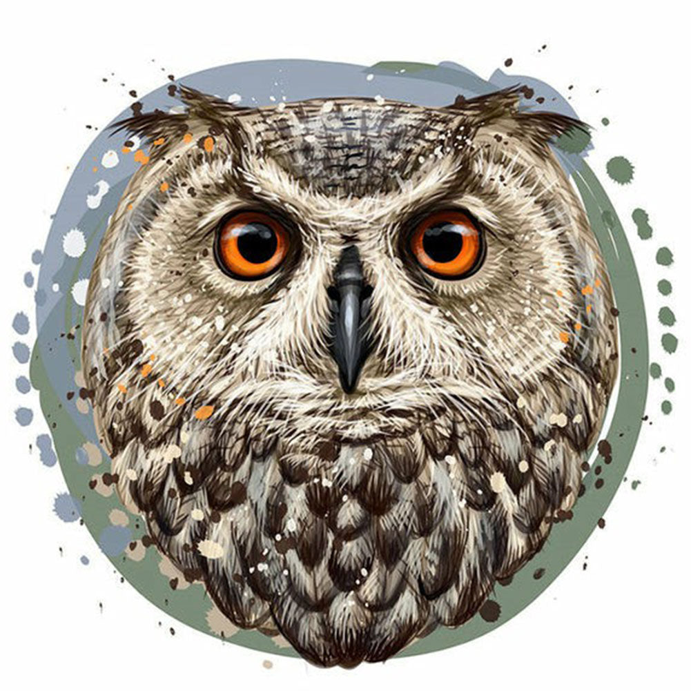 Owl - Full Round Drill Diamond Painting 30*30CM