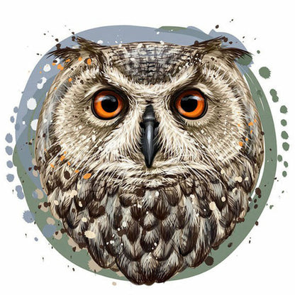 Owl - Full Round Drill Diamond Painting 30*30CM