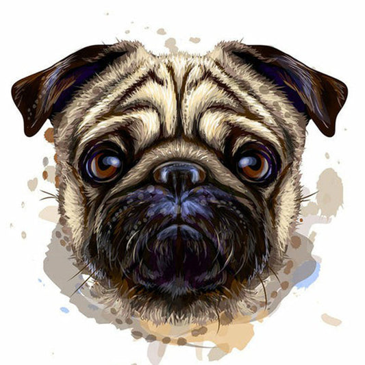Pug Dog - Full Round Drill Diamond Painting 30*30CM