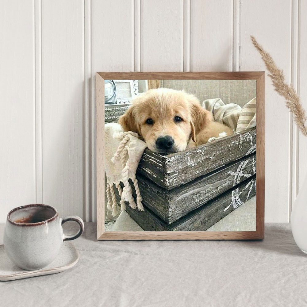 Yellow Puppy Sleeping In The Kennel - Full Round Drill Diamond Painting 40*40CM