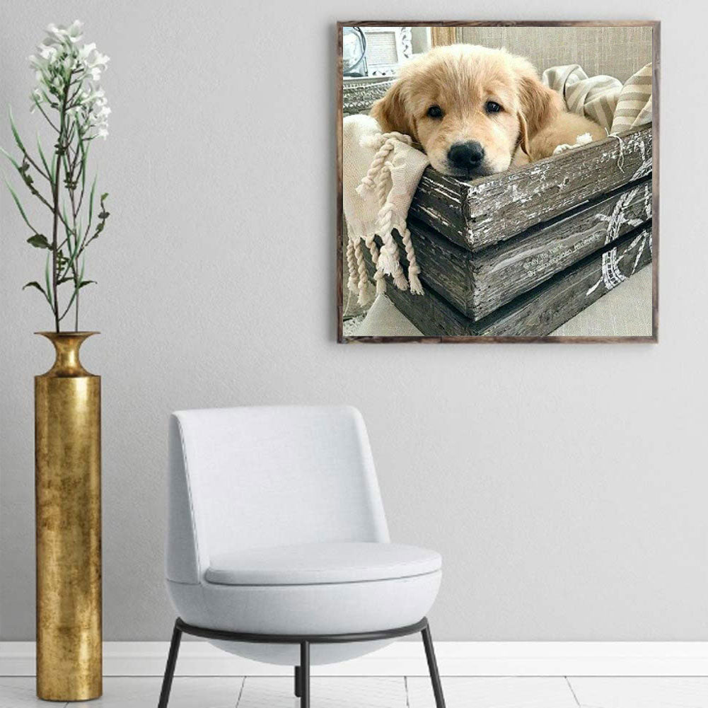 Yellow Puppy Sleeping In The Kennel - Full Round Drill Diamond Painting 40*40CM