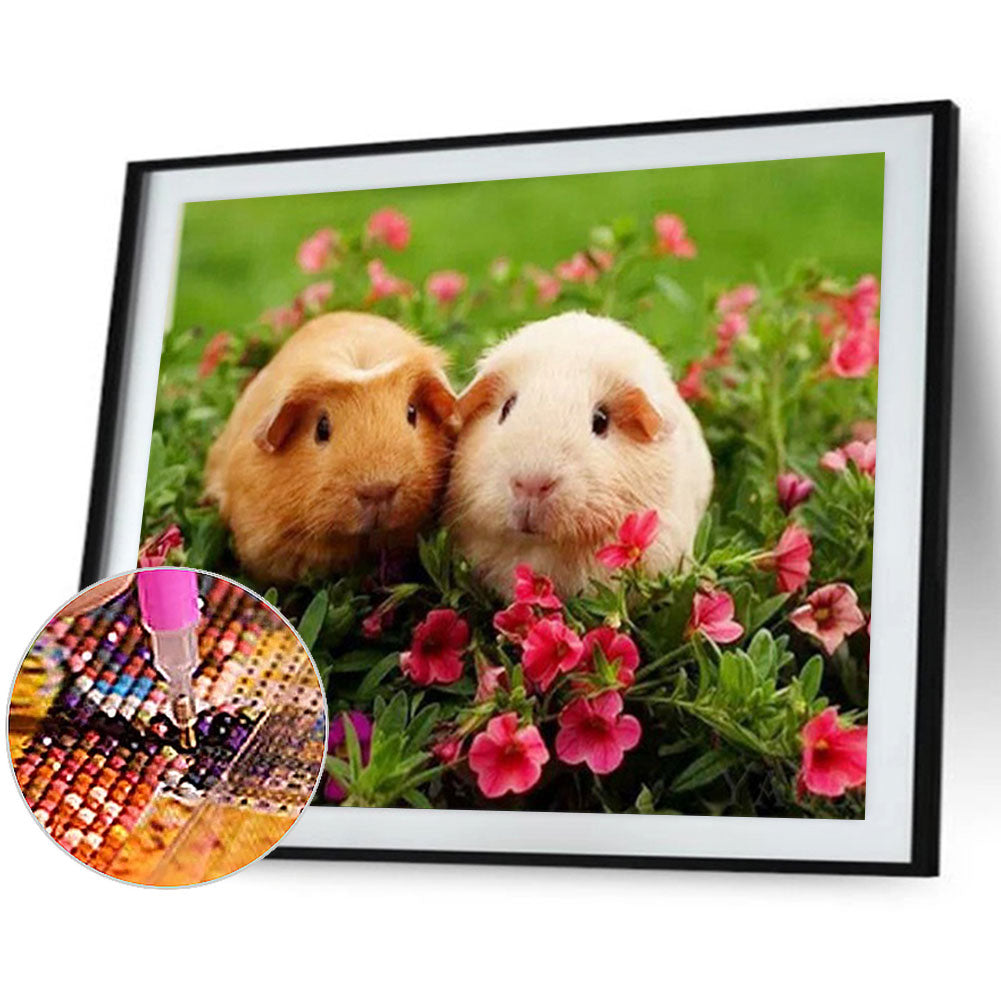 Two Guinea Pigs - Full Round Drill Diamond Painting 40*30CM