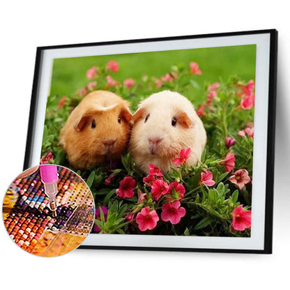 Two Guinea Pigs - Full Round Drill Diamond Painting 40*30CM