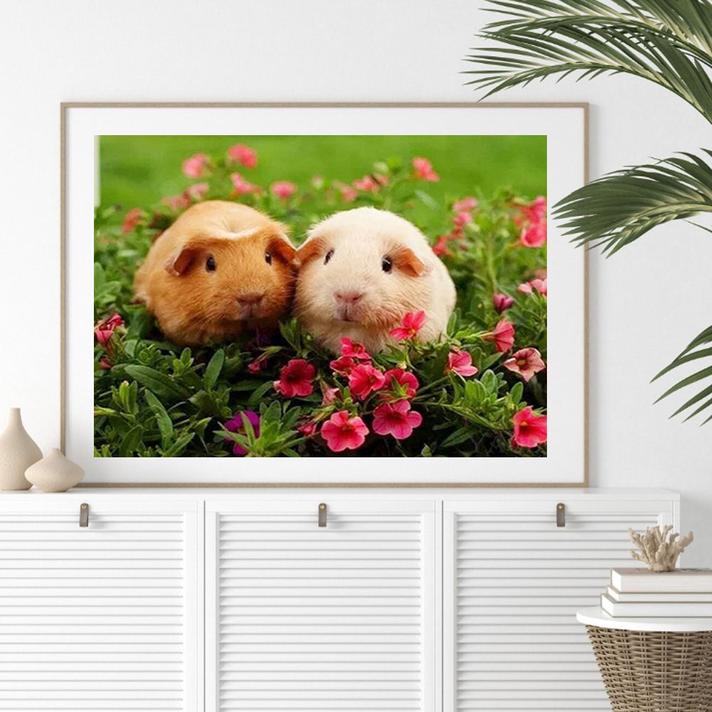 Two Guinea Pigs - Full Round Drill Diamond Painting 40*30CM