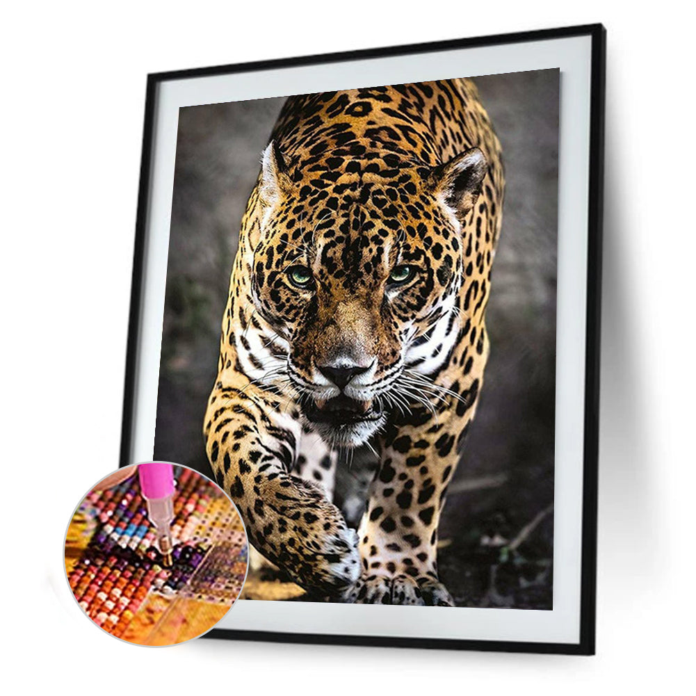 Leopard - Full Round Drill Diamond Painting 30*40CM