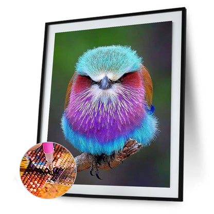 Purple-Breasted Buddhist Monk - Full Round Drill Diamond Painting 30*40CM